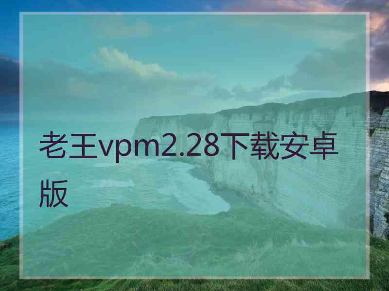 老王vpm2.28下载安卓版