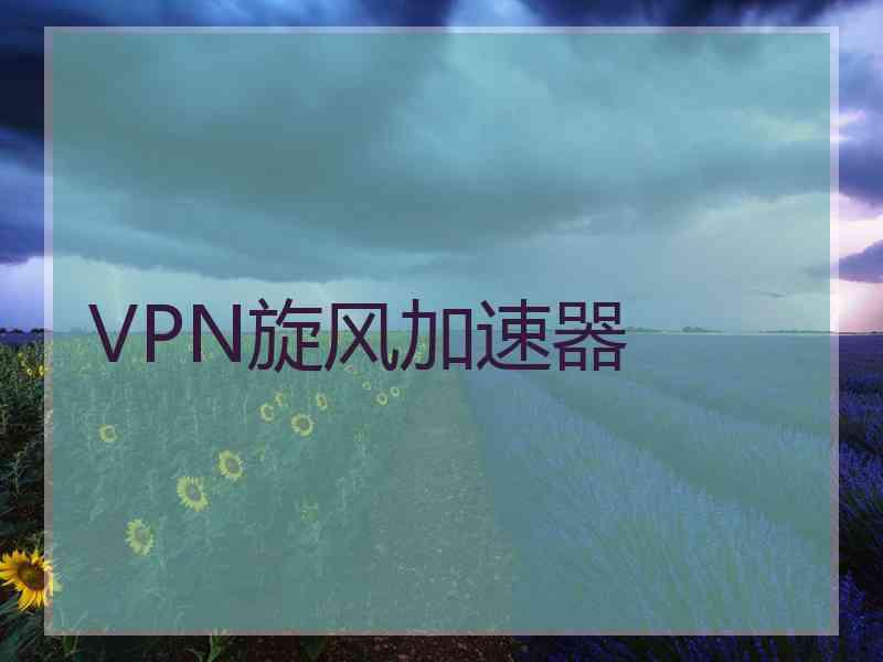 VPN旋风加速器