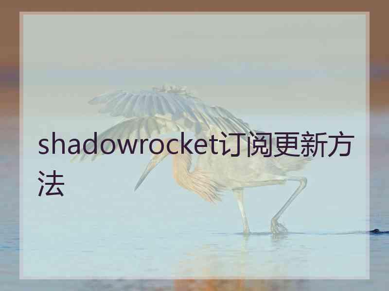 shadowrocket订阅更新方法