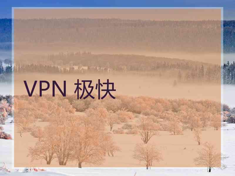 VPN 极快
