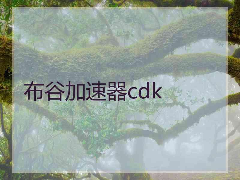 布谷加速器cdk