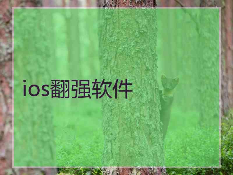 ios翻强软件