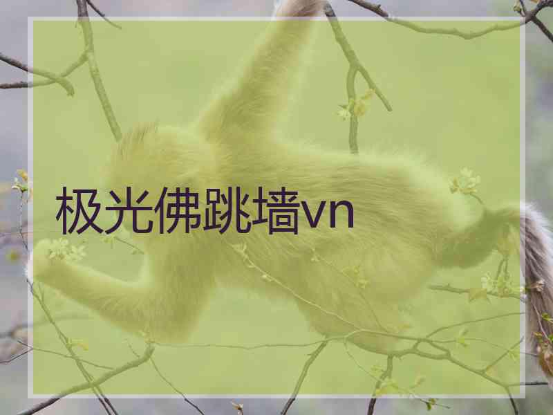极光佛跳墙vn
