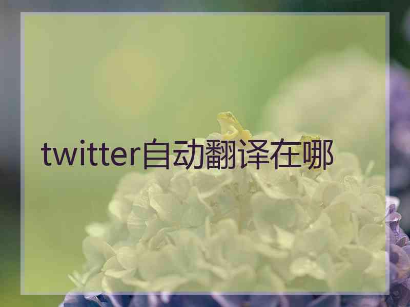 twitter自动翻译在哪