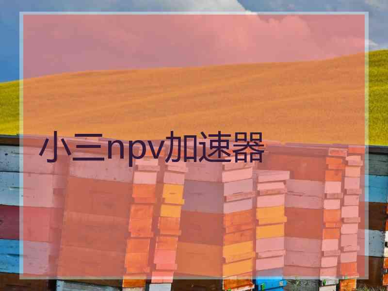 小三npv加速器