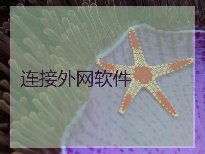 连接外网软件