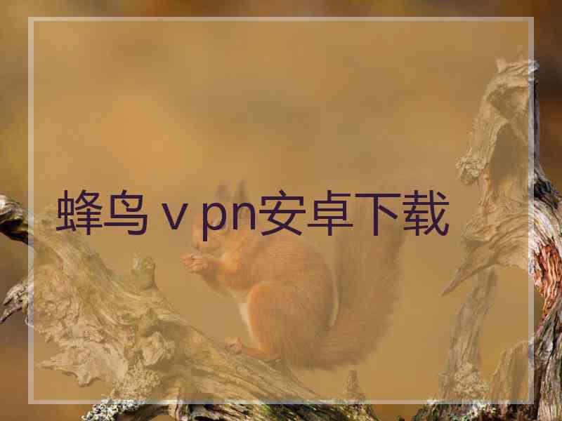 蜂鸟ⅴpn安卓下载