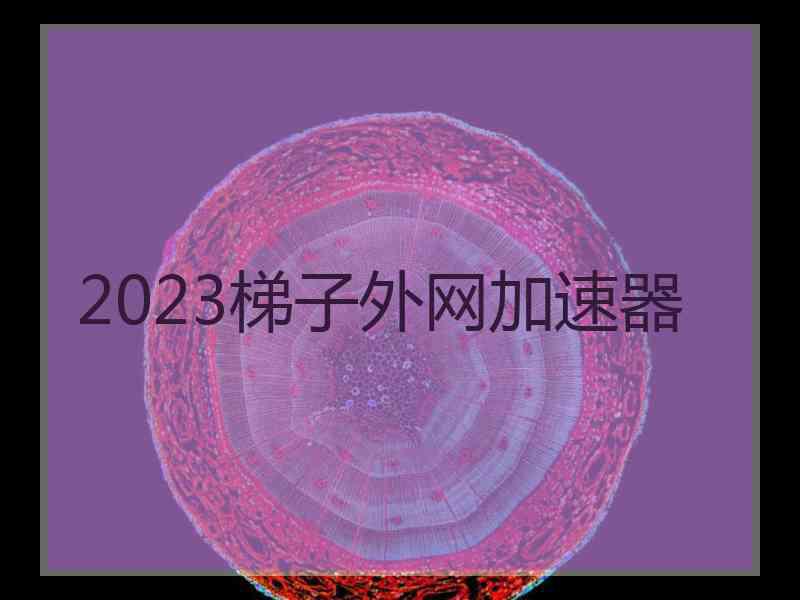 2023梯子外网加速器