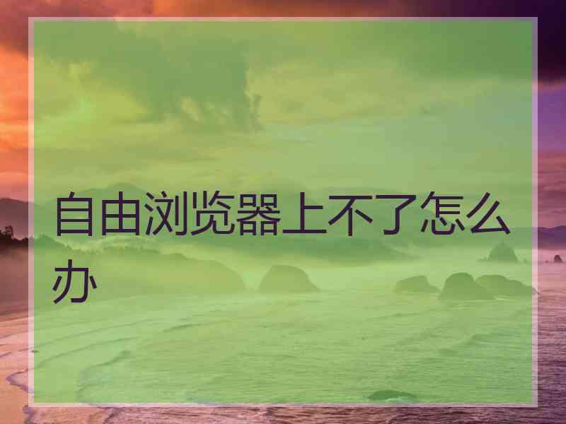 自由浏览器上不了怎么办