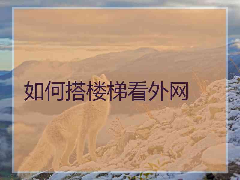 如何搭楼梯看外网