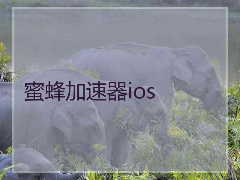 蜜蜂加速器ios