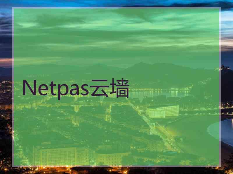 Netpas云墙