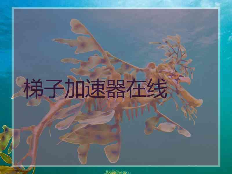 梯子加速器在线
