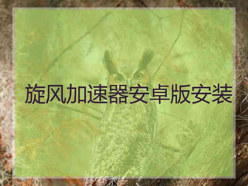 旋风加速器安卓版安装