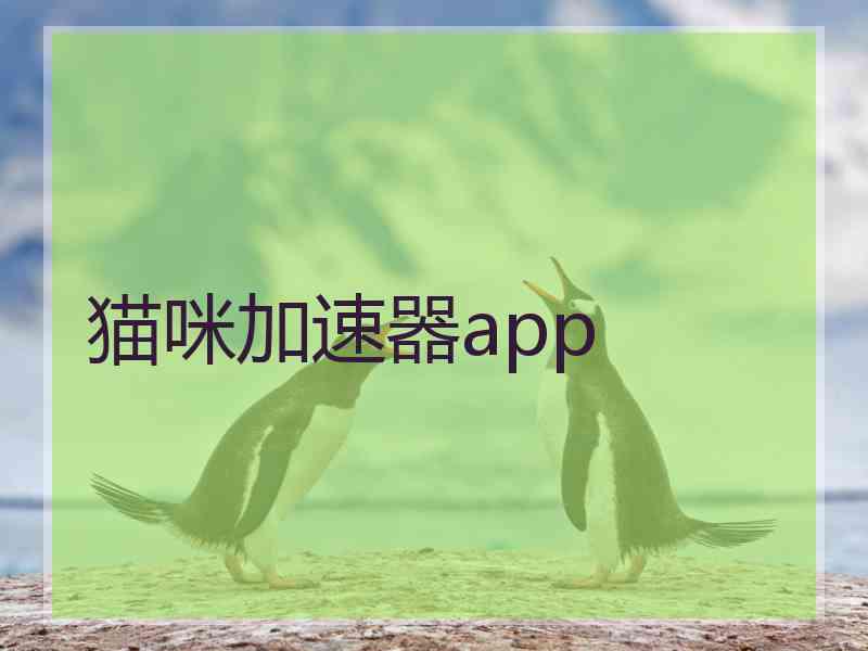 猫咪加速器app