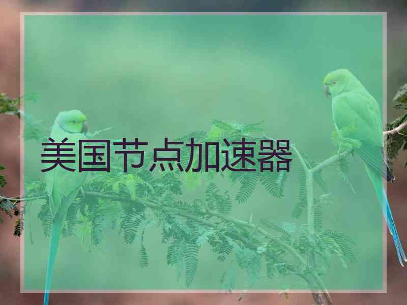 美国节点加速器