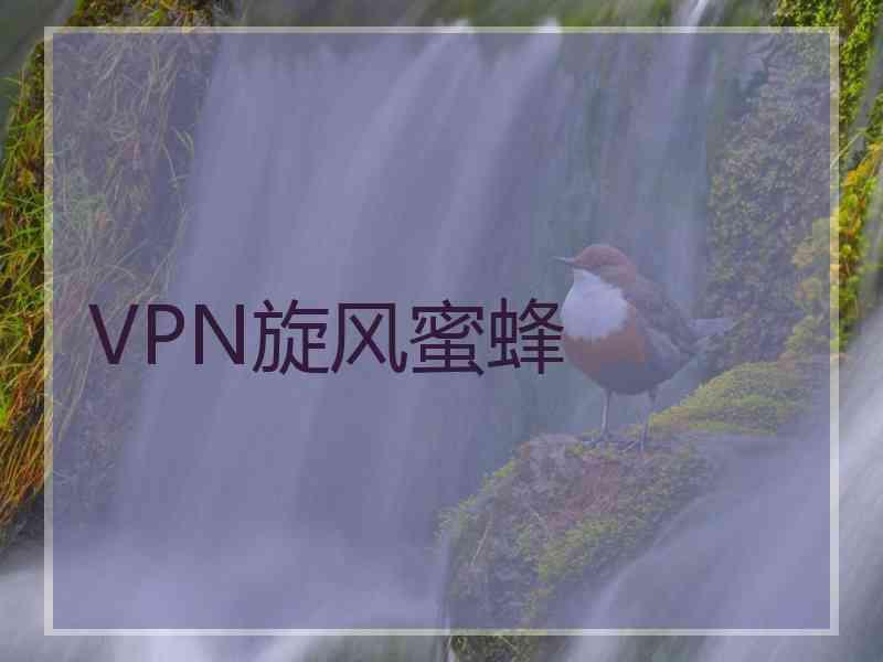 VPN旋风蜜蜂