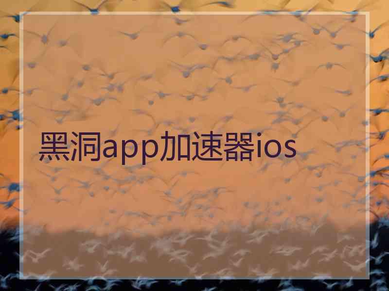 黑洞app加速器ios