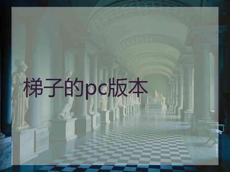 梯子的pc版本
