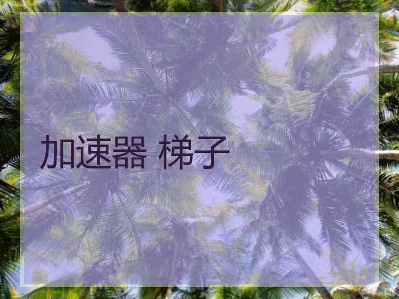 加速器 梯子