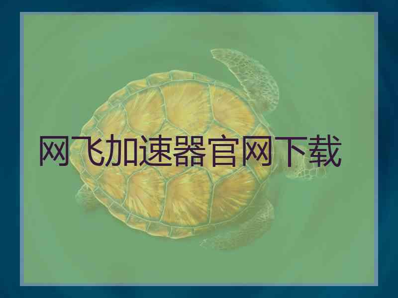 网飞加速器官网下载