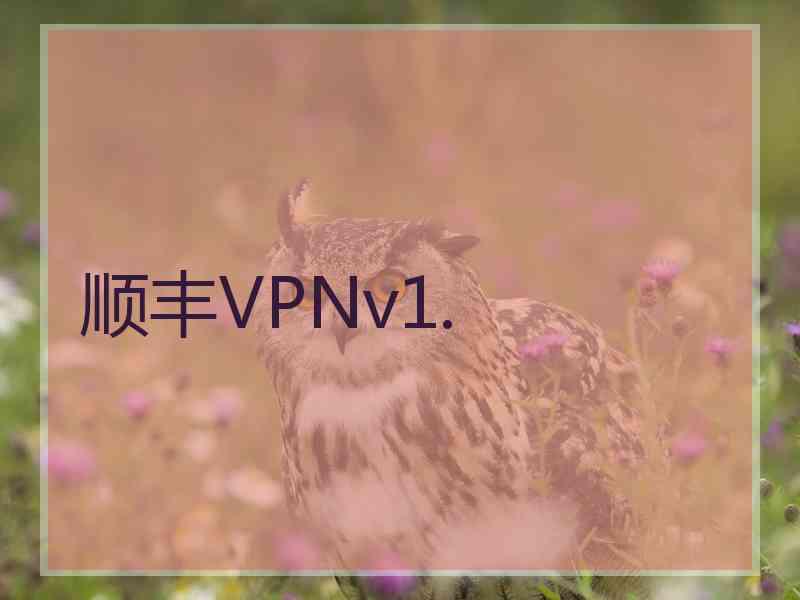 顺丰VPNv1.