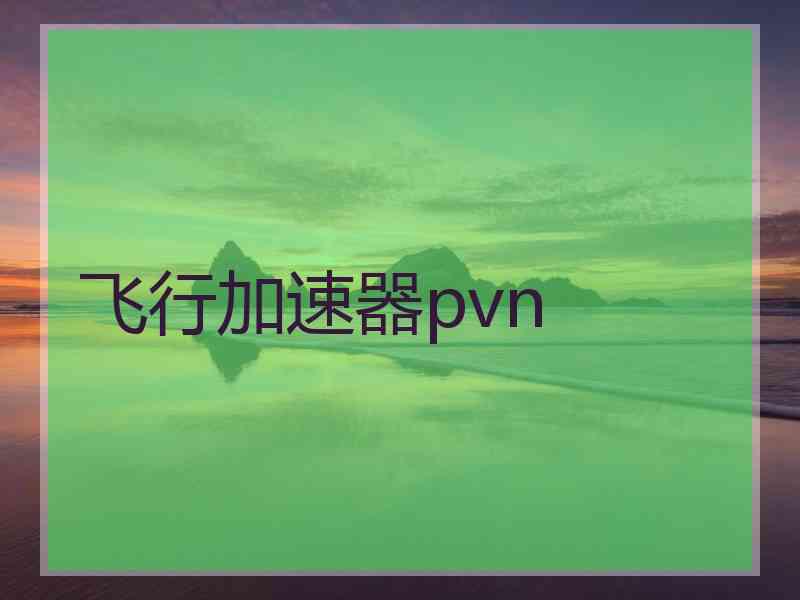 飞行加速器pvn