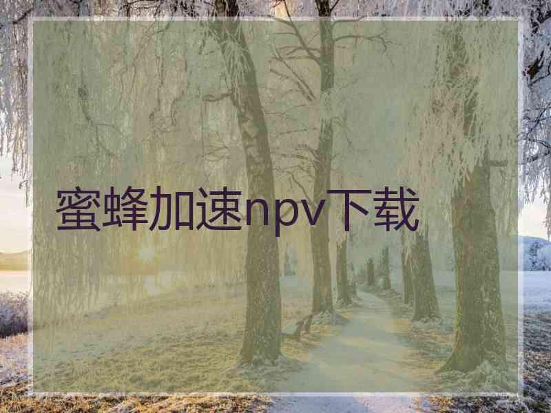 蜜蜂加速npv下载