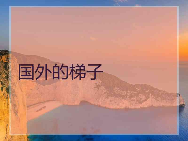 国外的梯子