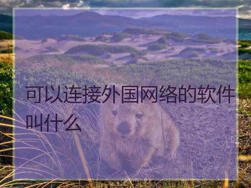 可以连接外国网络的软件叫什么