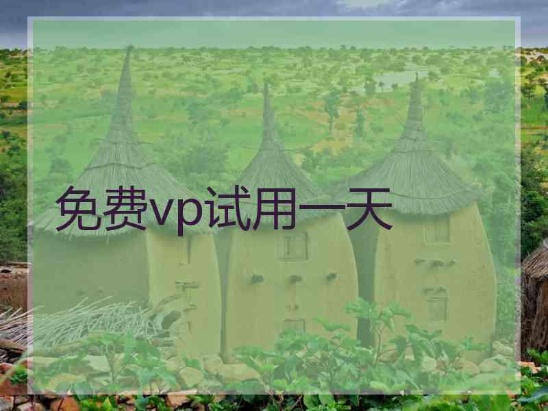 免费vp试用一天