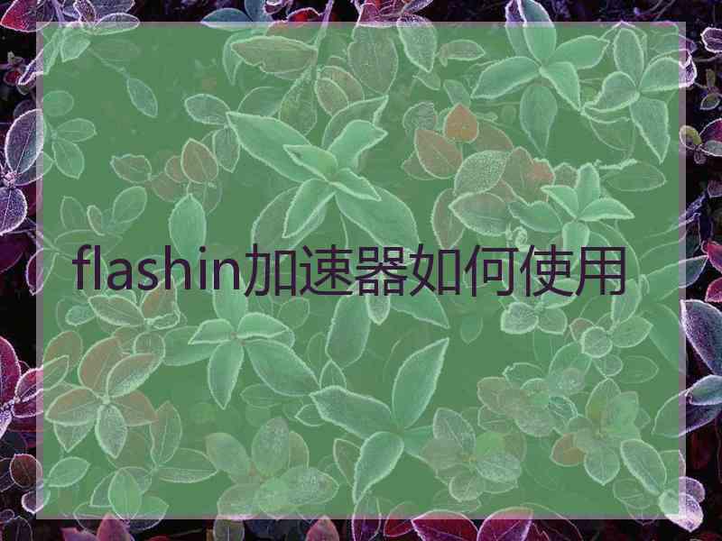 flashin加速器如何使用