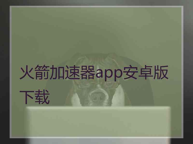 火箭加速器app安卓版下载
