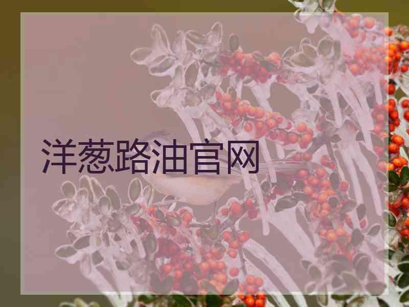 洋葱路油官网