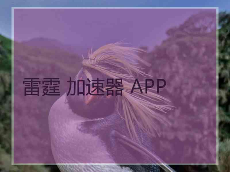 雷霆 加速器 APP