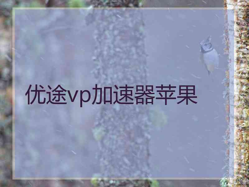 优途vp加速器苹果