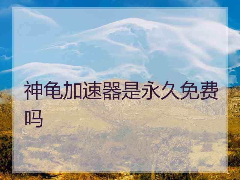 神龟加速器是永久免费吗