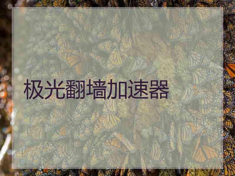 极光翻墙加速器
