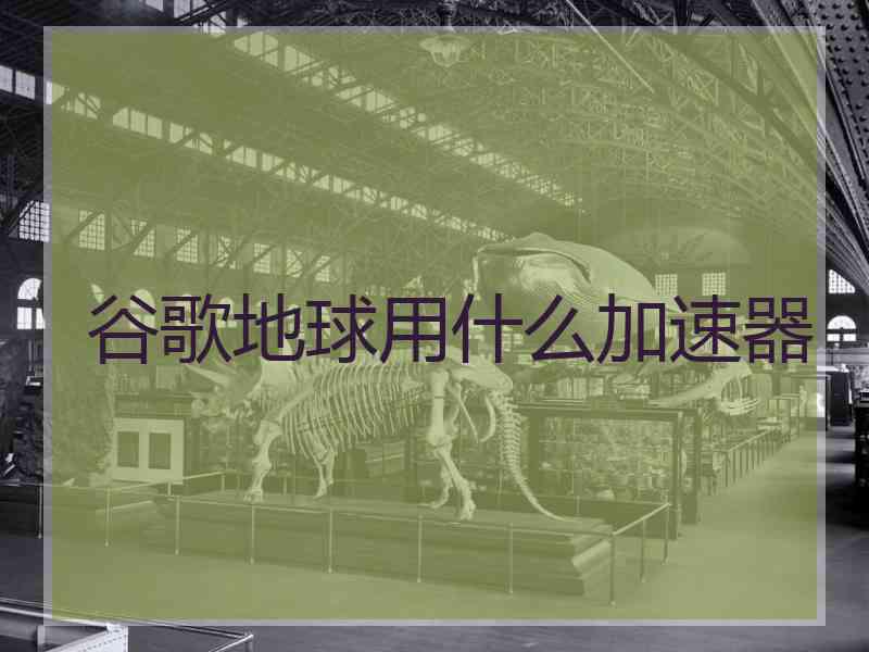 谷歌地球用什么加速器