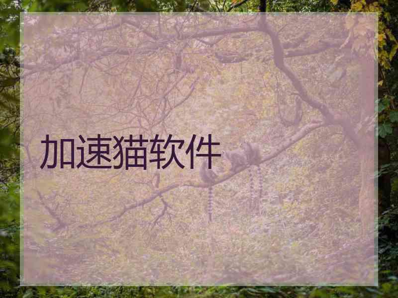 加速猫软件