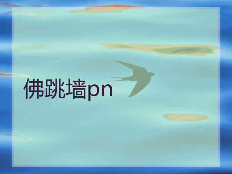 佛跳墙pn