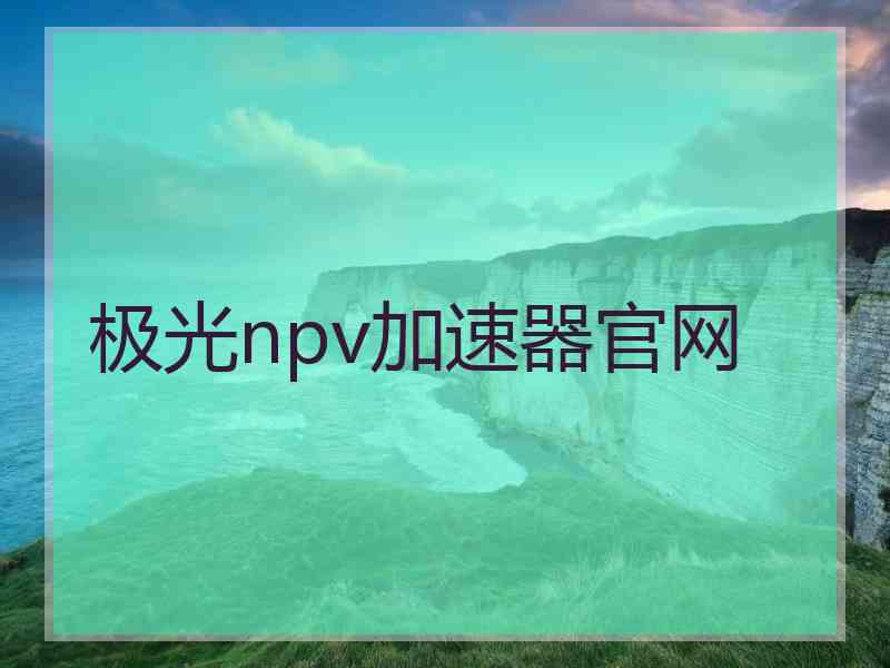 极光npv加速器官网