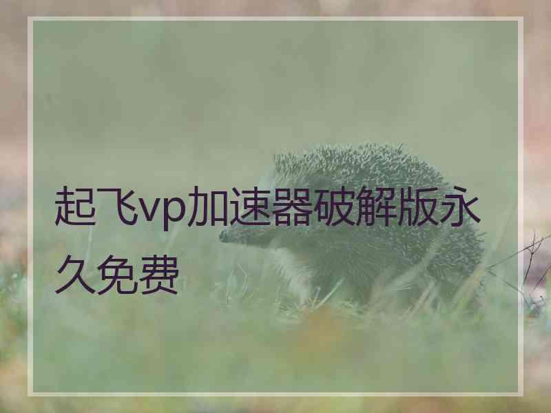起飞vp加速器破解版永久免费