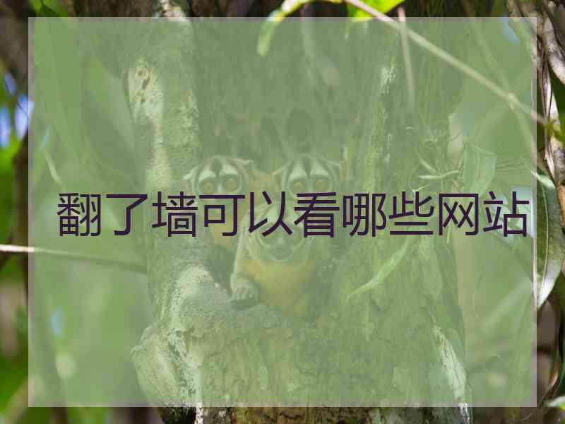 翻了墙可以看哪些网站