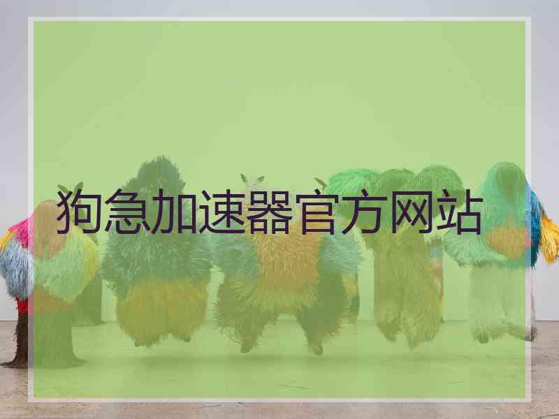 狗急加速器官方网站