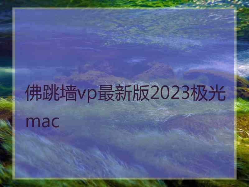 佛跳墙vp最新版2023极光 mac