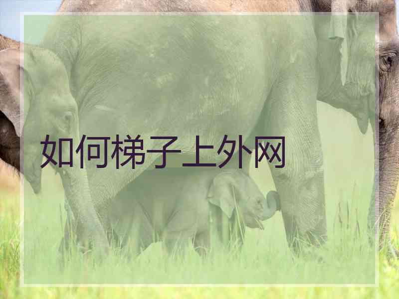 如何梯子上外网
