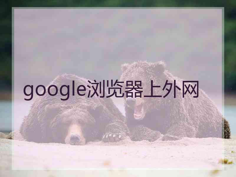 google浏览器上外网