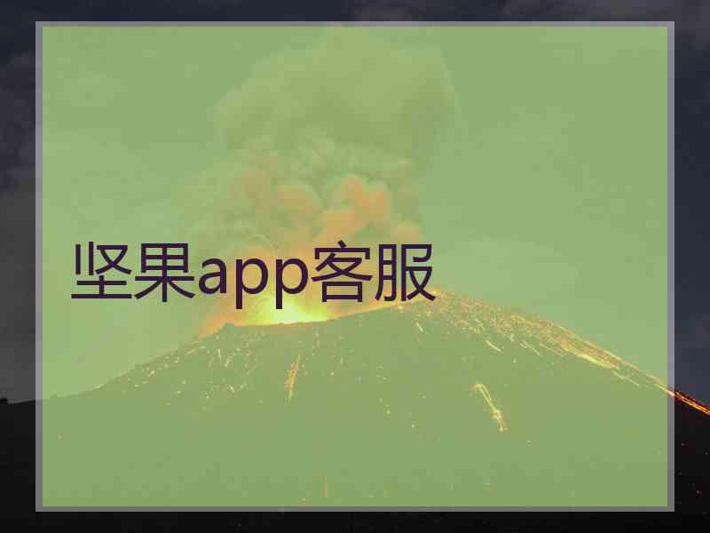 坚果app客服