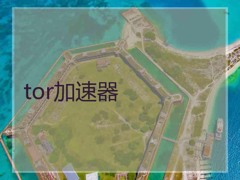tor加速器